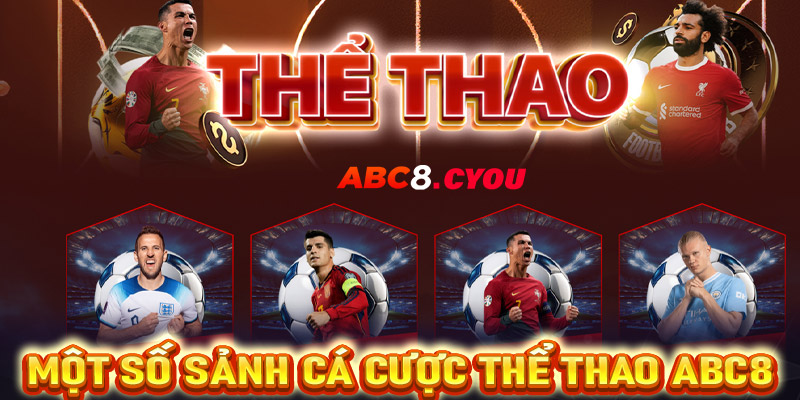 Điểm qua 4 sảnh thể thao ABC8 được nhiều người sử dụng nhất hiện nay